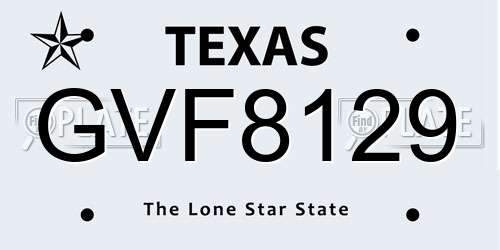 GVF8129 Texas License Plate