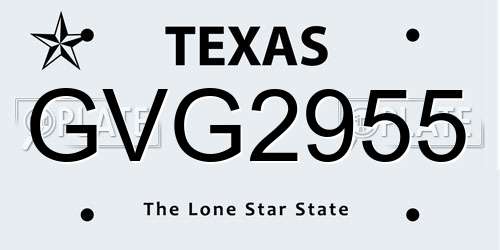 GVG2955 Texas License Plate