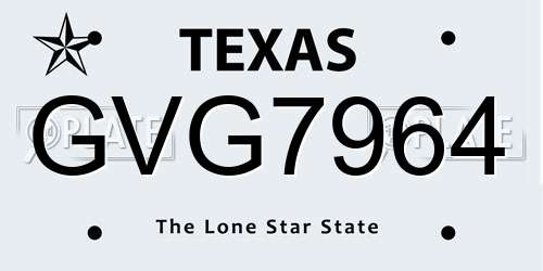 GVG7964 Texas License Plate