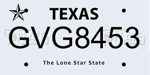 GVG8453 Texas License Plate