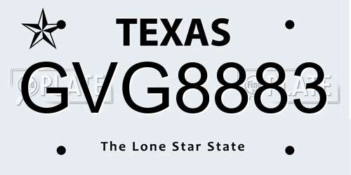 GVG8883 Texas License Plate