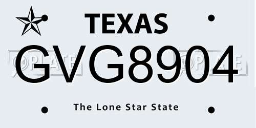 GVG8904 Texas License Plate
