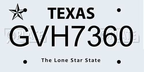 GVH7360 Texas License Plate