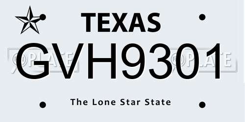 GVH9301 Texas License Plate