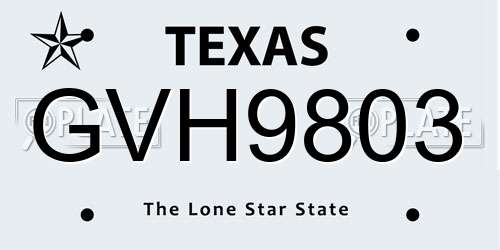 GVH9803 Texas License Plate