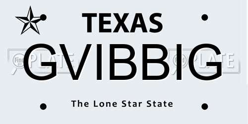GVIBBIG Texas License Plate