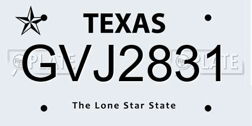 GVJ2831 Texas License Plate