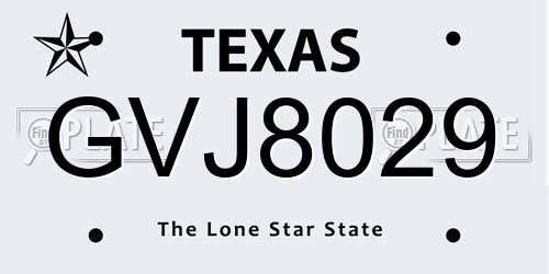 GVJ8029 Texas License Plate