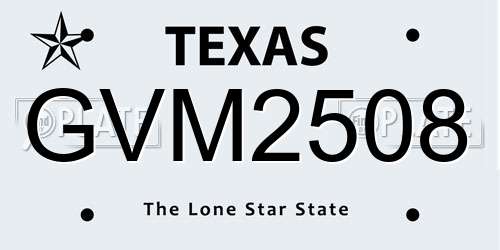 GVM2508 Texas License Plate