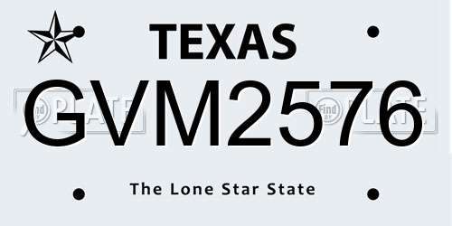 GVM2576 Texas License Plate