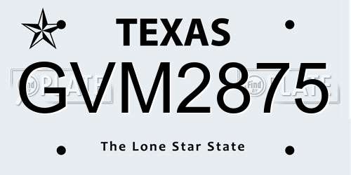 GVM2875 Texas License Plate