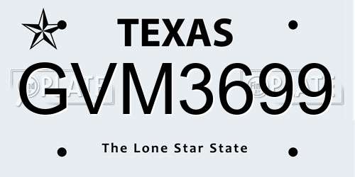 GVM3699 Texas License Plate