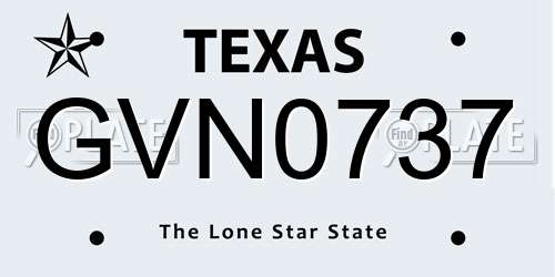 GVN0737 Texas License Plate