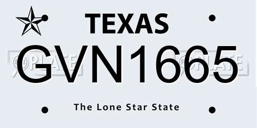 GVN1665 Texas License Plate