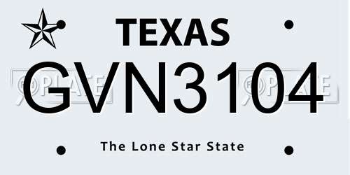 GVN3104 Texas License Plate