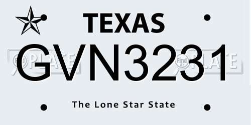 GVN3231 Texas License Plate