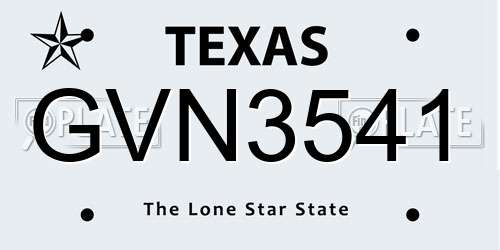 GVN3541 Texas License Plate