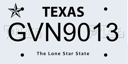 GVN9013 Texas License Plate