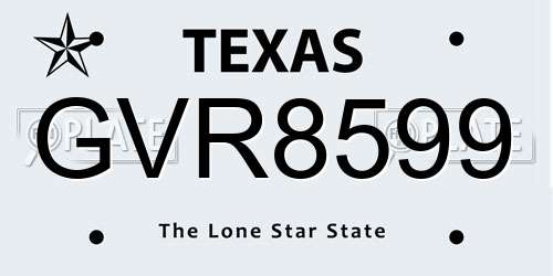 GVR8599 Texas License Plate