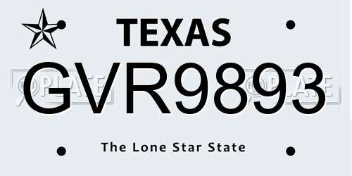 GVR9893 Texas License Plate