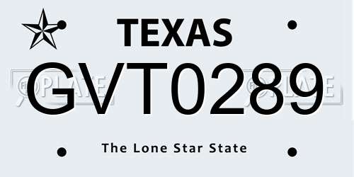 GVT0289 Texas License Plate