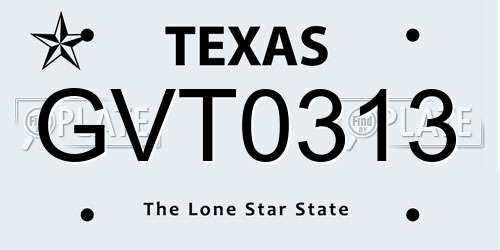 GVT0313 Texas License Plate