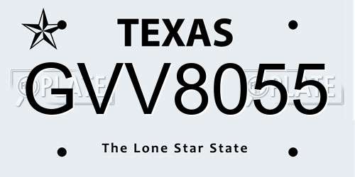 GVV8055 Texas License Plate
