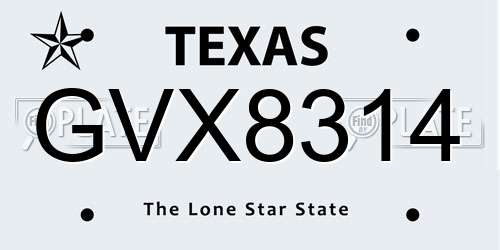 GVX8314 Texas License Plate