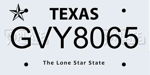 GVY8065 Texas License Plate