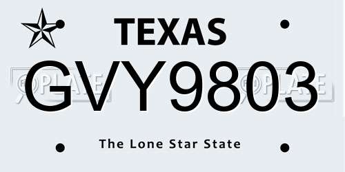 GVY9803 Texas License Plate