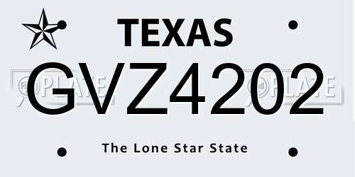 GVZ4202 Texas License Plate