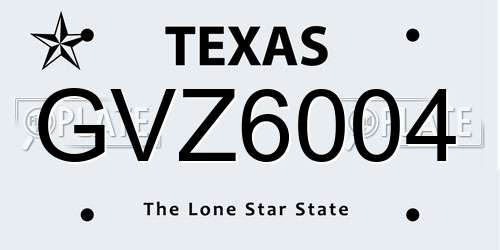 GVZ6004 Texas License Plate