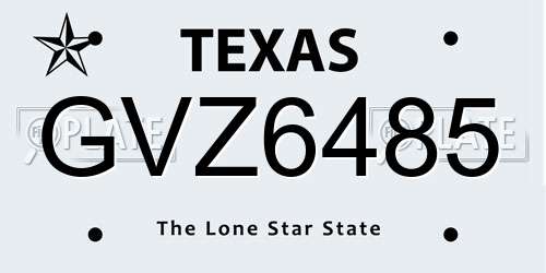 GVZ6485 Texas License Plate
