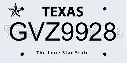 GVZ9928 Texas License Plate