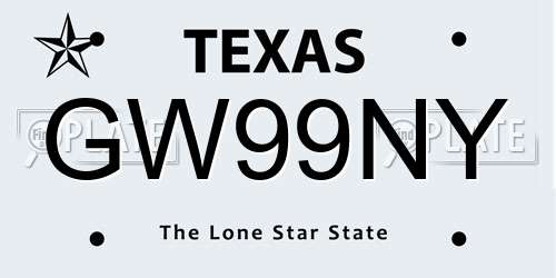 GW99NY Texas License Plate