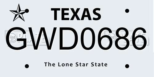 GWD0686 Texas License Plate