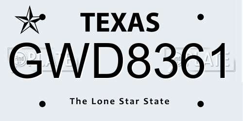 GWD8361 Texas License Plate