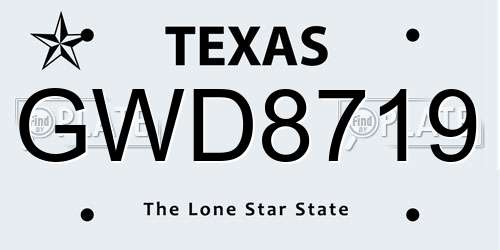 GWD8719 Texas License Plate
