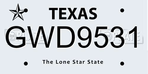 GWD9531 Texas License Plate