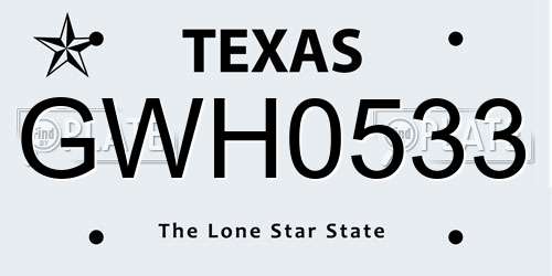 GWH0533 Texas License Plate