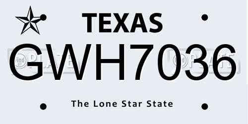 GWH7036 Texas License Plate