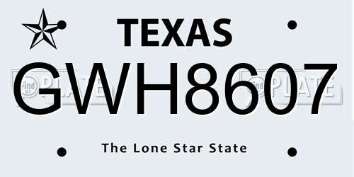GWH8607 Texas License Plate