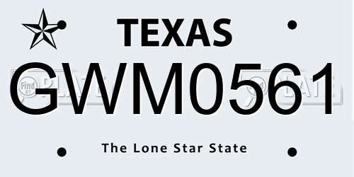GWM0561 Texas License Plate