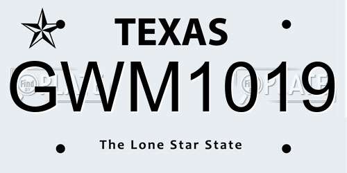 GWM1019 Texas License Plate