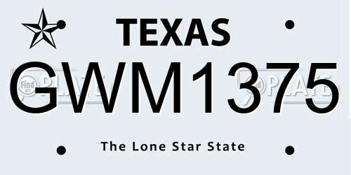 GWM1375 Texas License Plate