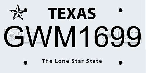 GWM1699 Texas License Plate