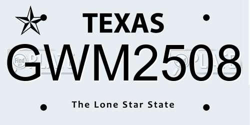 GWM2508 Texas License Plate