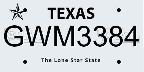 GWM3384 Texas License Plate