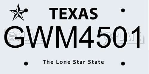 GWM4501 Texas License Plate