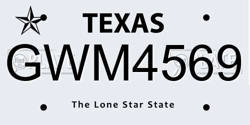 GWM4569 Texas License Plate